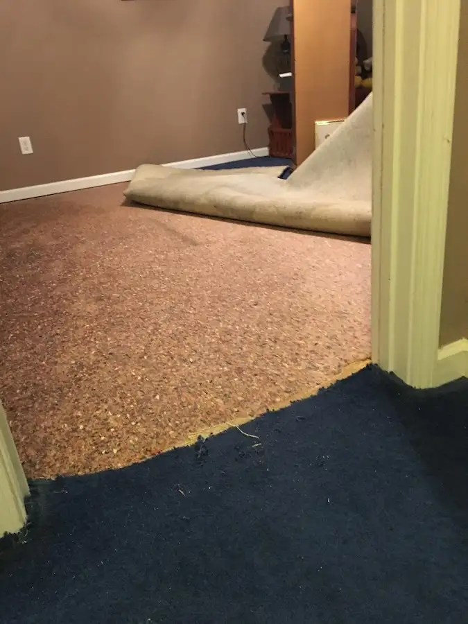Carpet pad removal revealing water damage during Drying & Dehumidification in Lakes of the Four Seasons