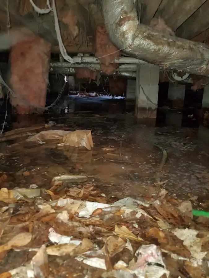 Crawl space flood assessment for Commercial Water Damage Restoration in Lakes of the Four Seasons